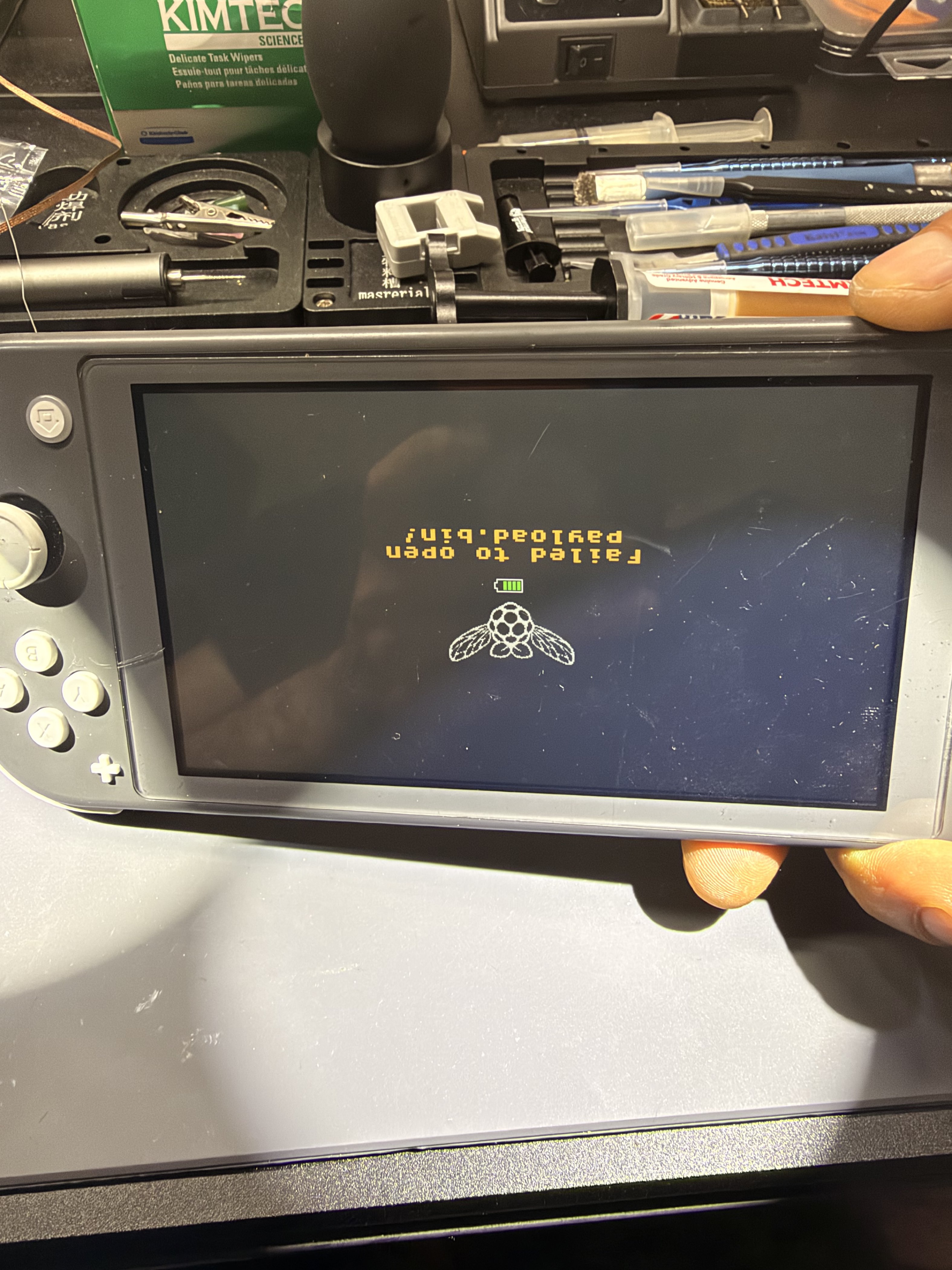 Nintendo
